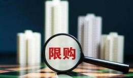人 2025社会热点话题,聚焦社会热点，解码未来发展趋势